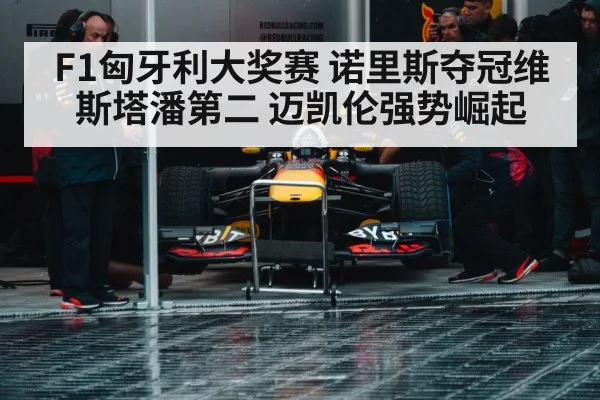 Max Verstappen Red Bull